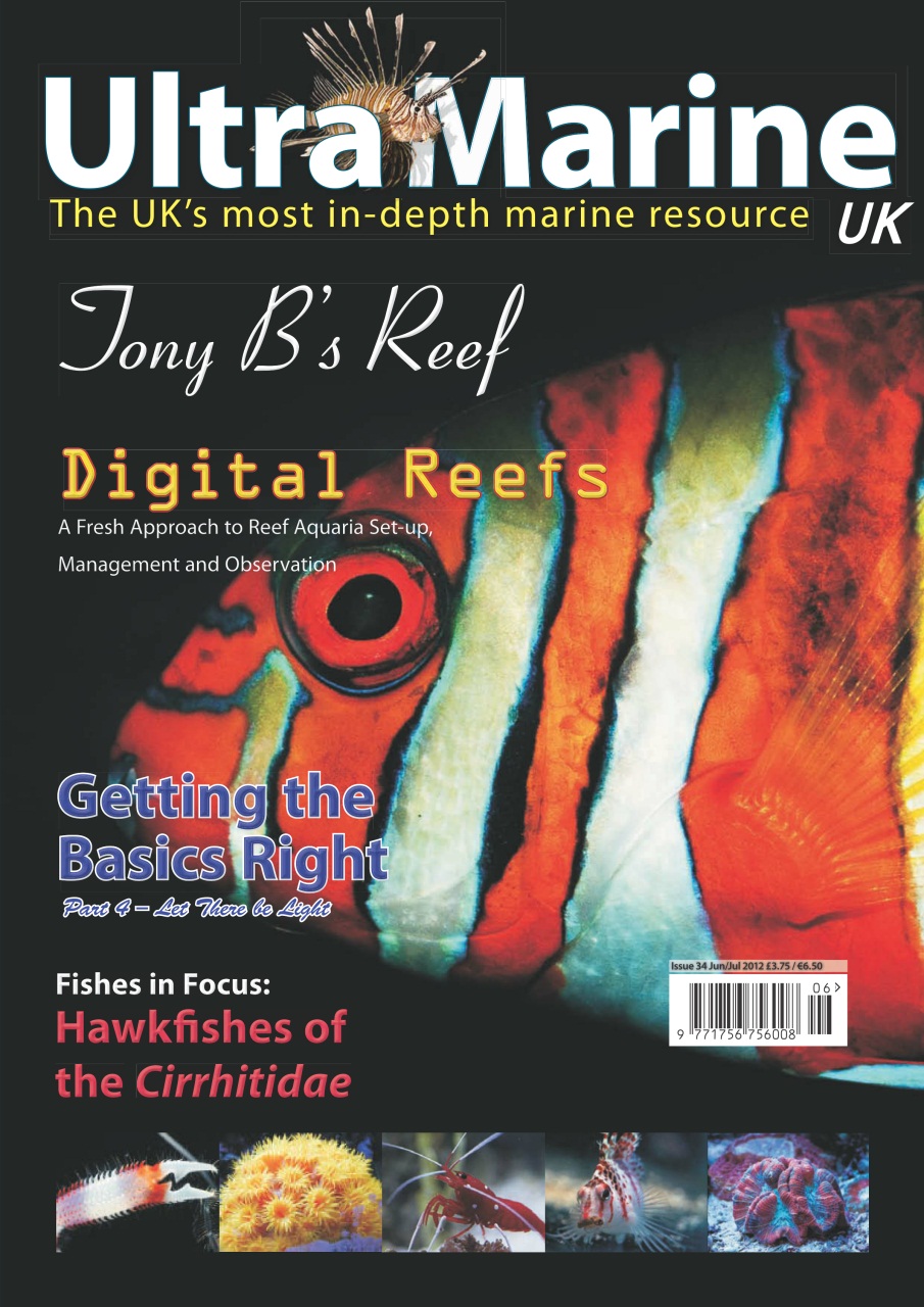 UltraMarine Magazine Preview Pages