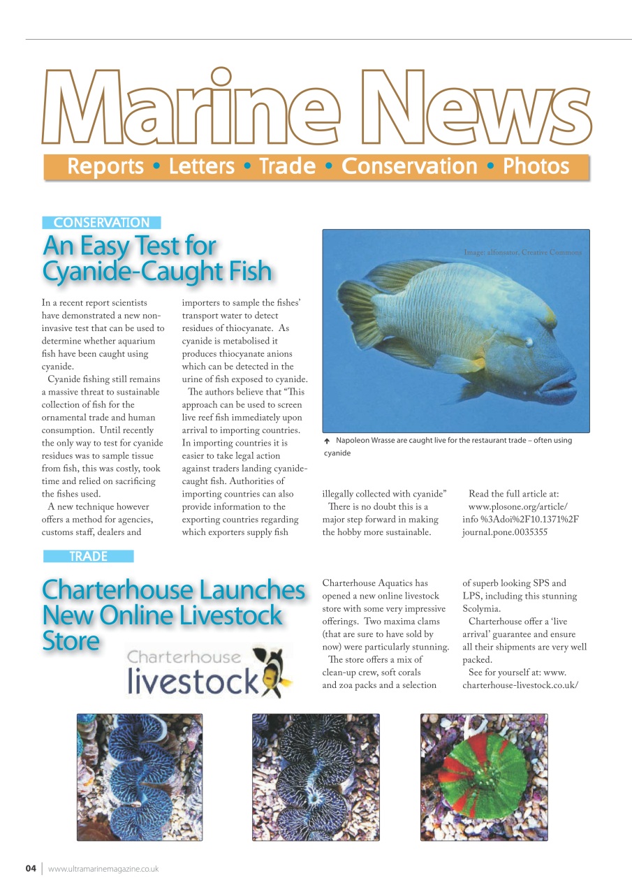 UltraMarine Magazine Preview Pages