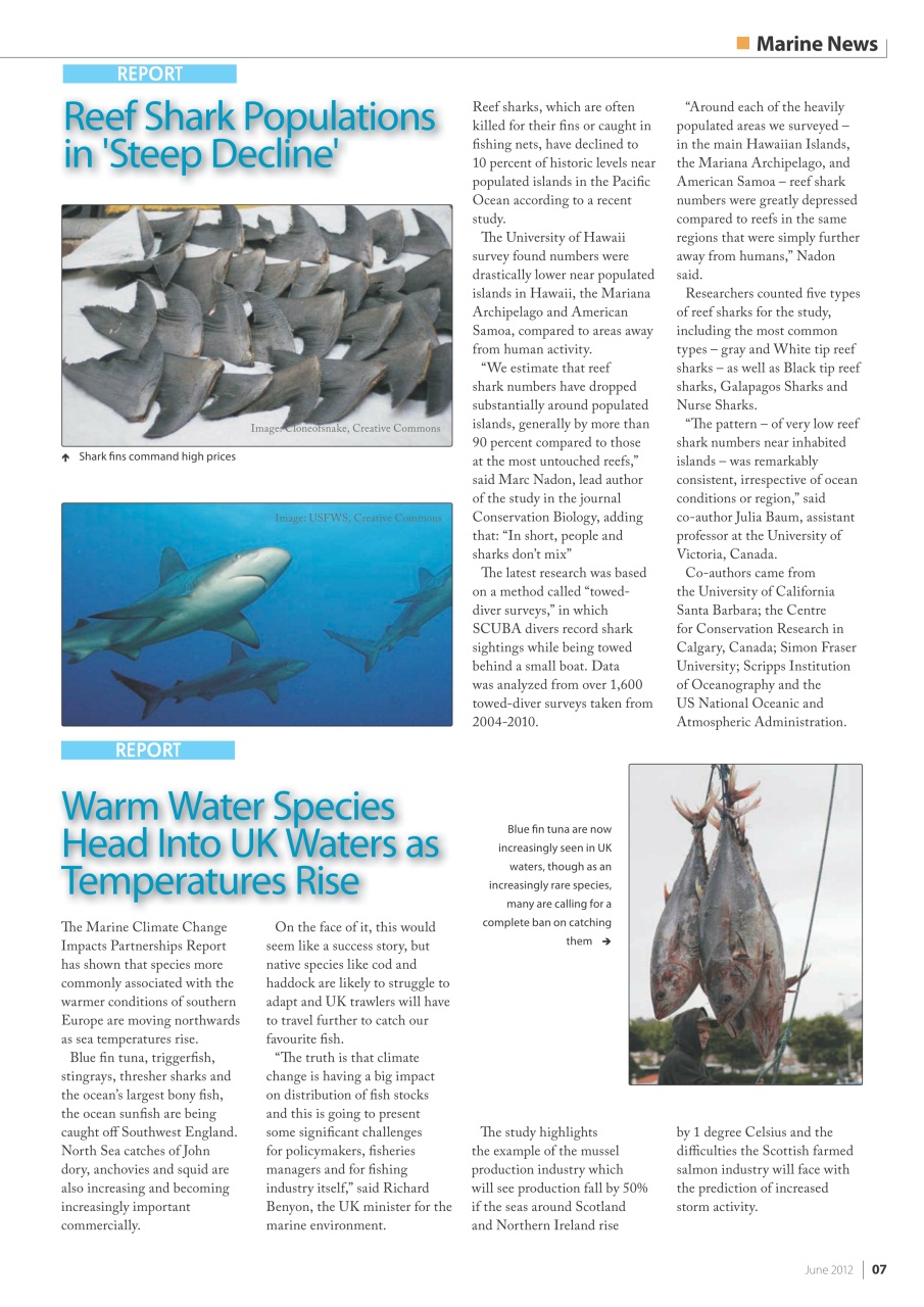 UltraMarine Magazine Preview Pages