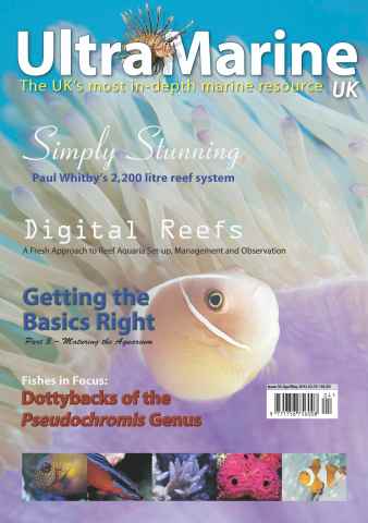 UltraMarine Magazine issue Issue 33