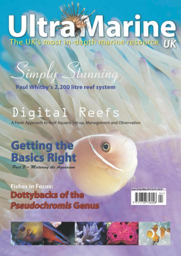 UltraMarine Magazine issue 
