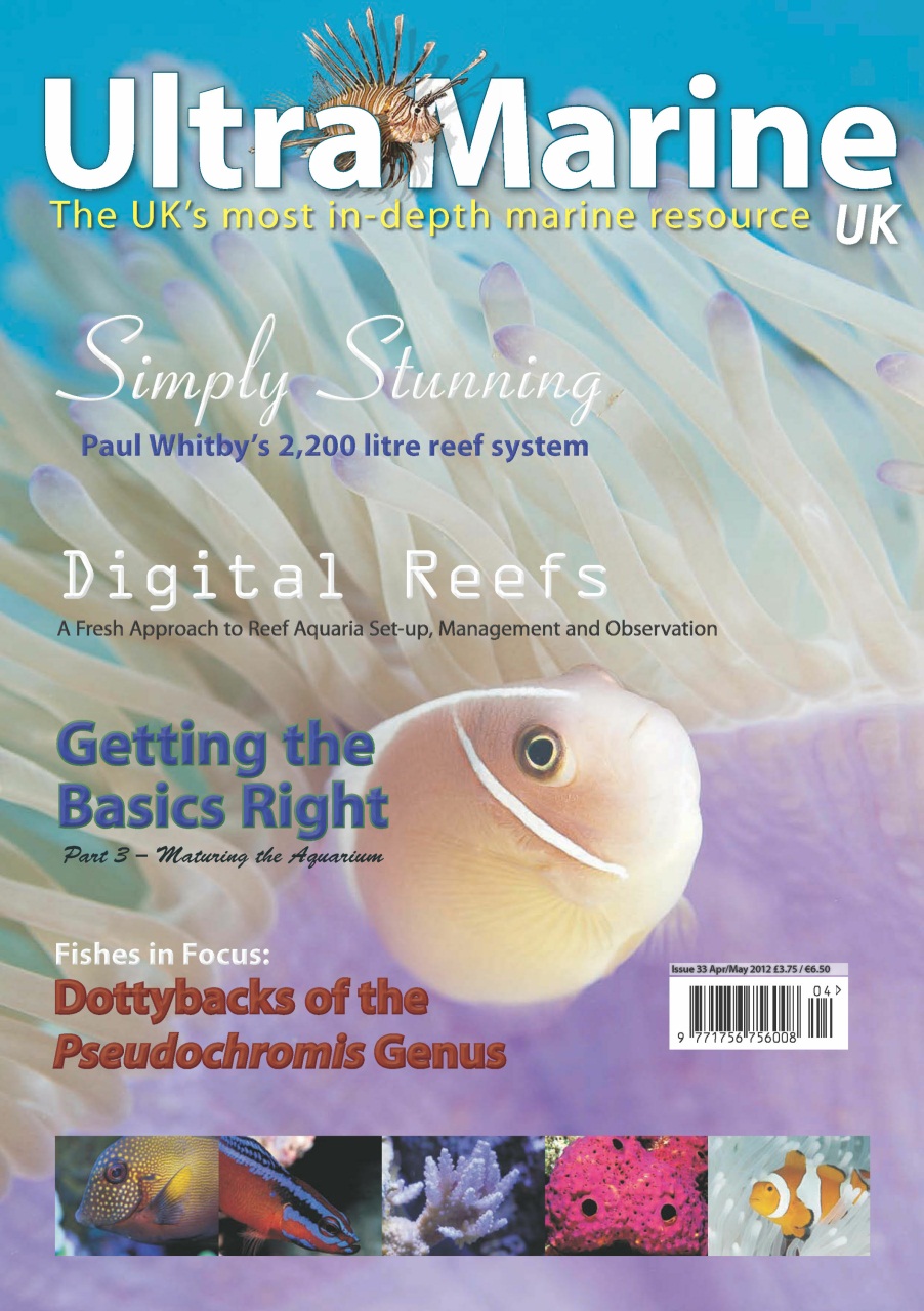 UltraMarine Magazine Preview Pages