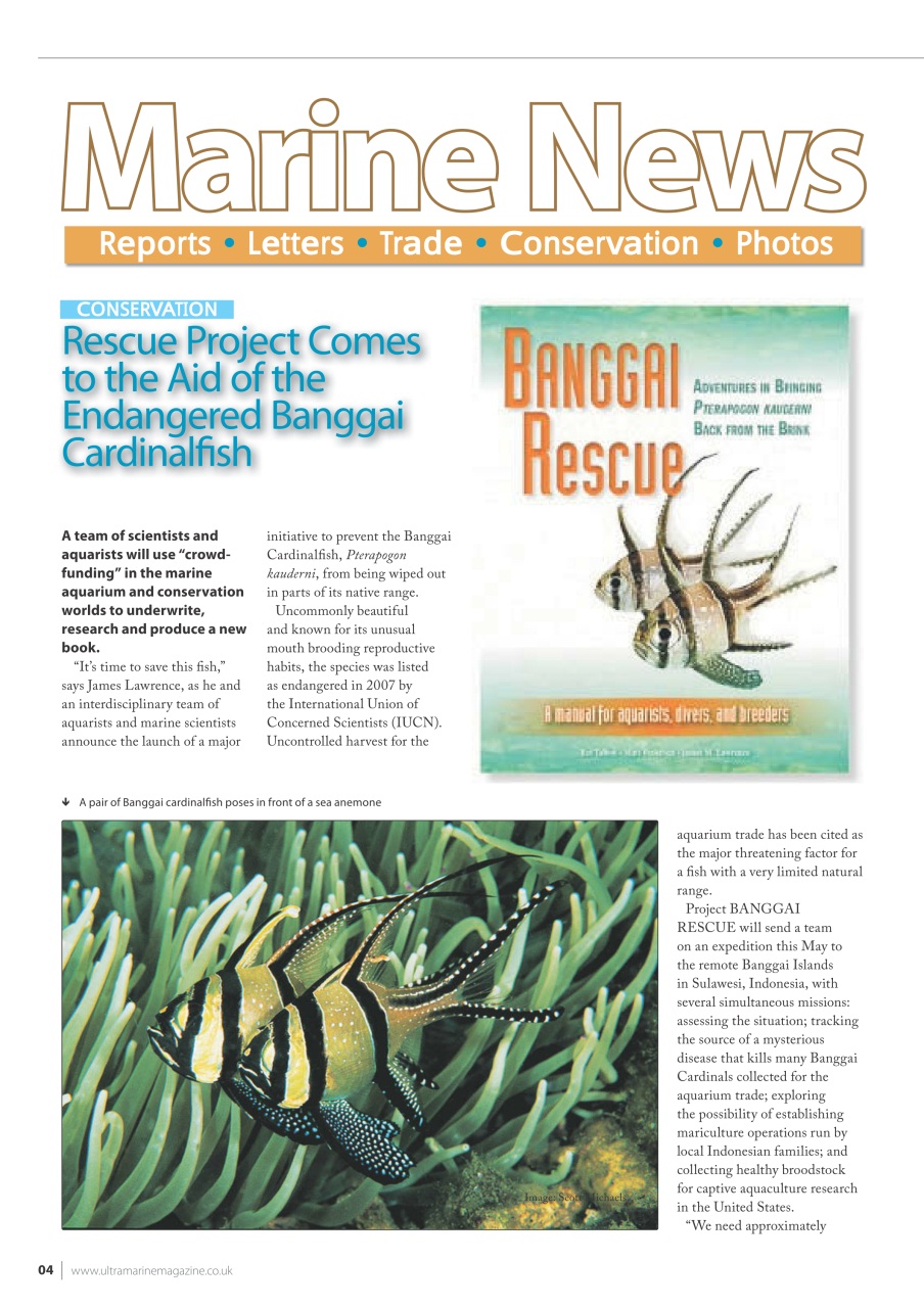 UltraMarine Magazine Preview Pages