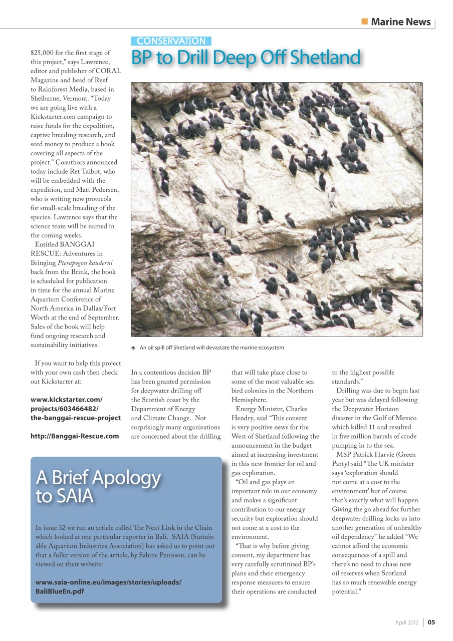 UltraMarine Magazine Preview Pages