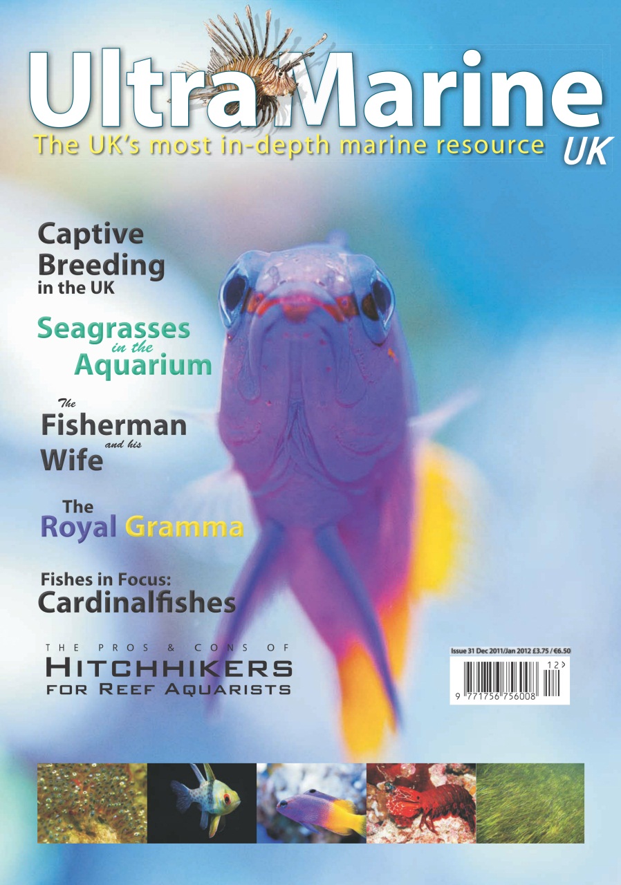 UltraMarine Magazine Preview Pages