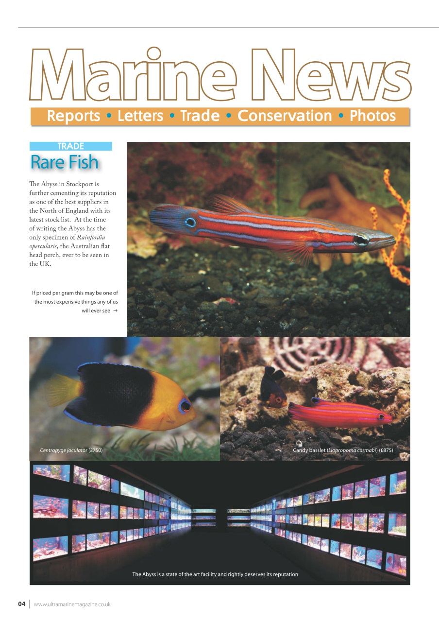 UltraMarine Magazine Preview Pages