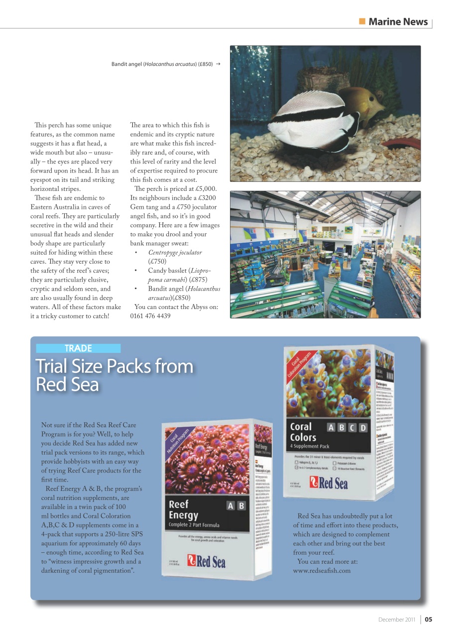 UltraMarine Magazine Preview Pages