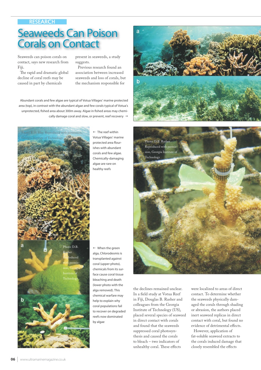 UltraMarine Magazine Preview Pages