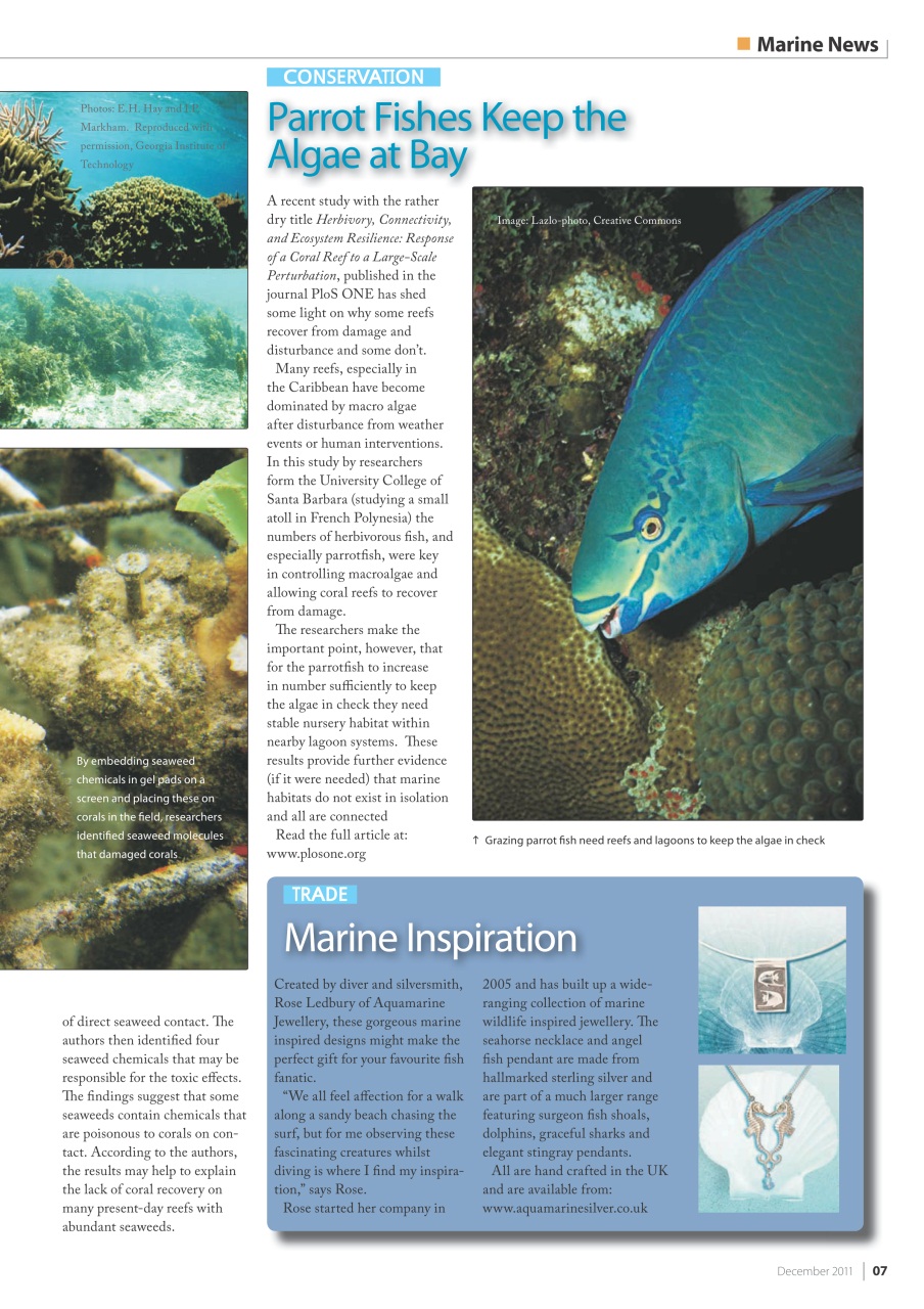 UltraMarine Magazine Preview Pages