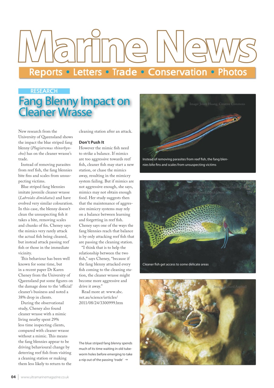 UltraMarine Magazine Preview Pages