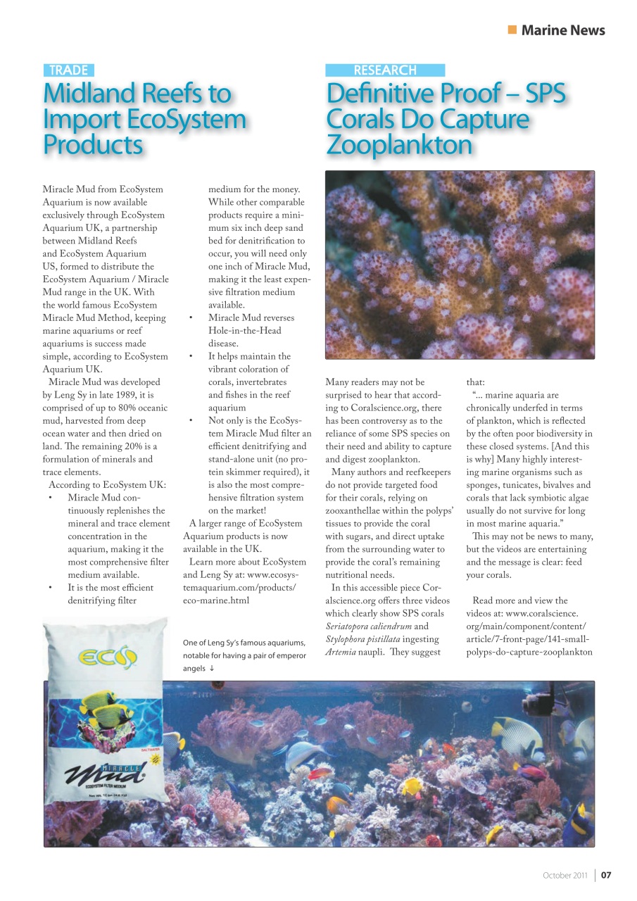 UltraMarine Magazine Preview Pages