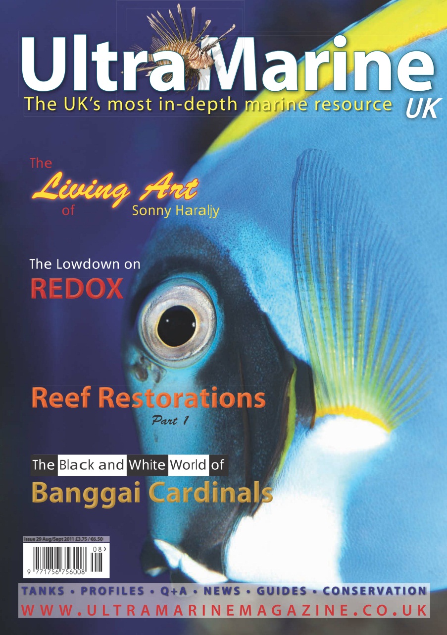 UltraMarine Magazine Preview Pages