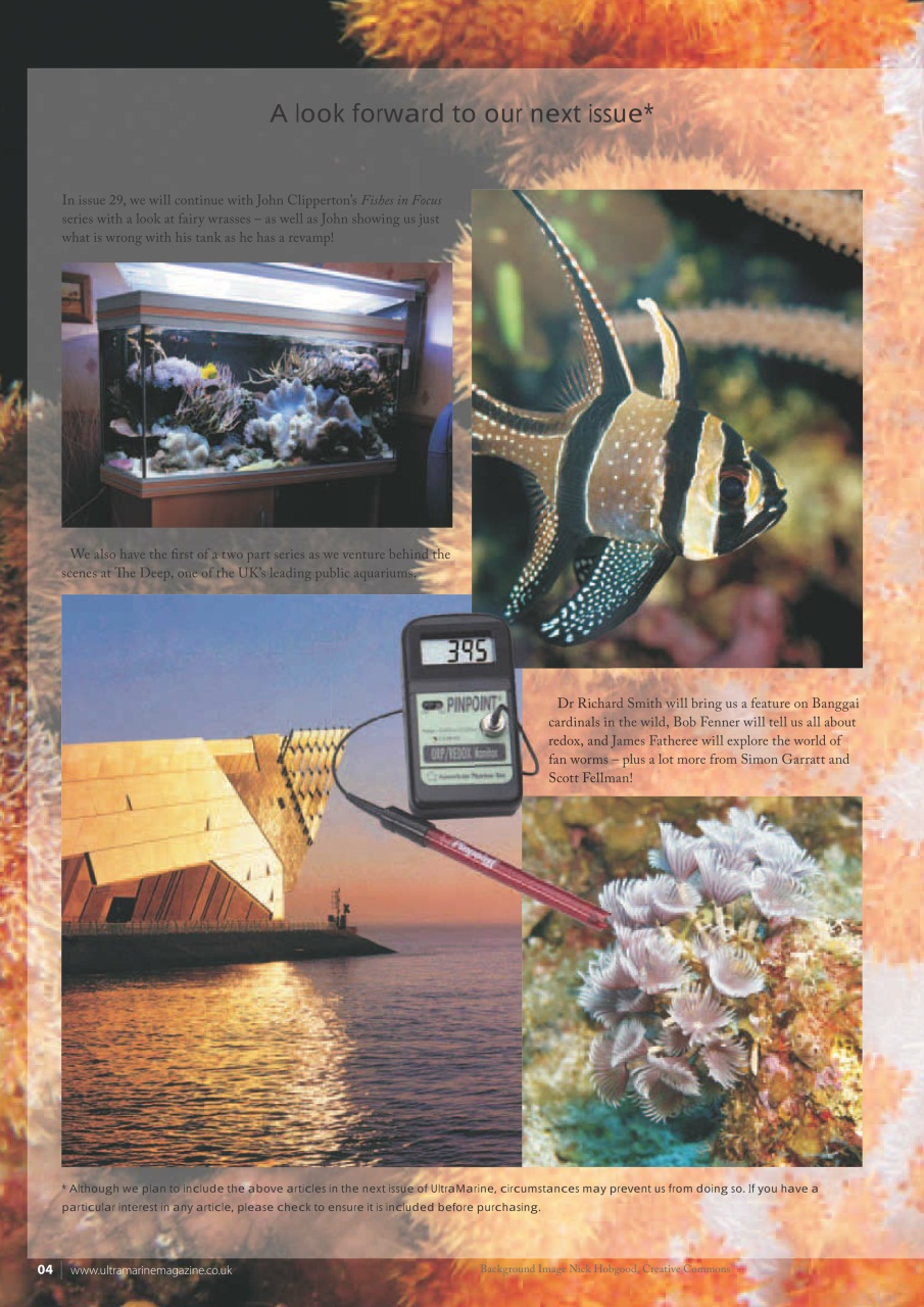 UltraMarine Magazine Preview Pages