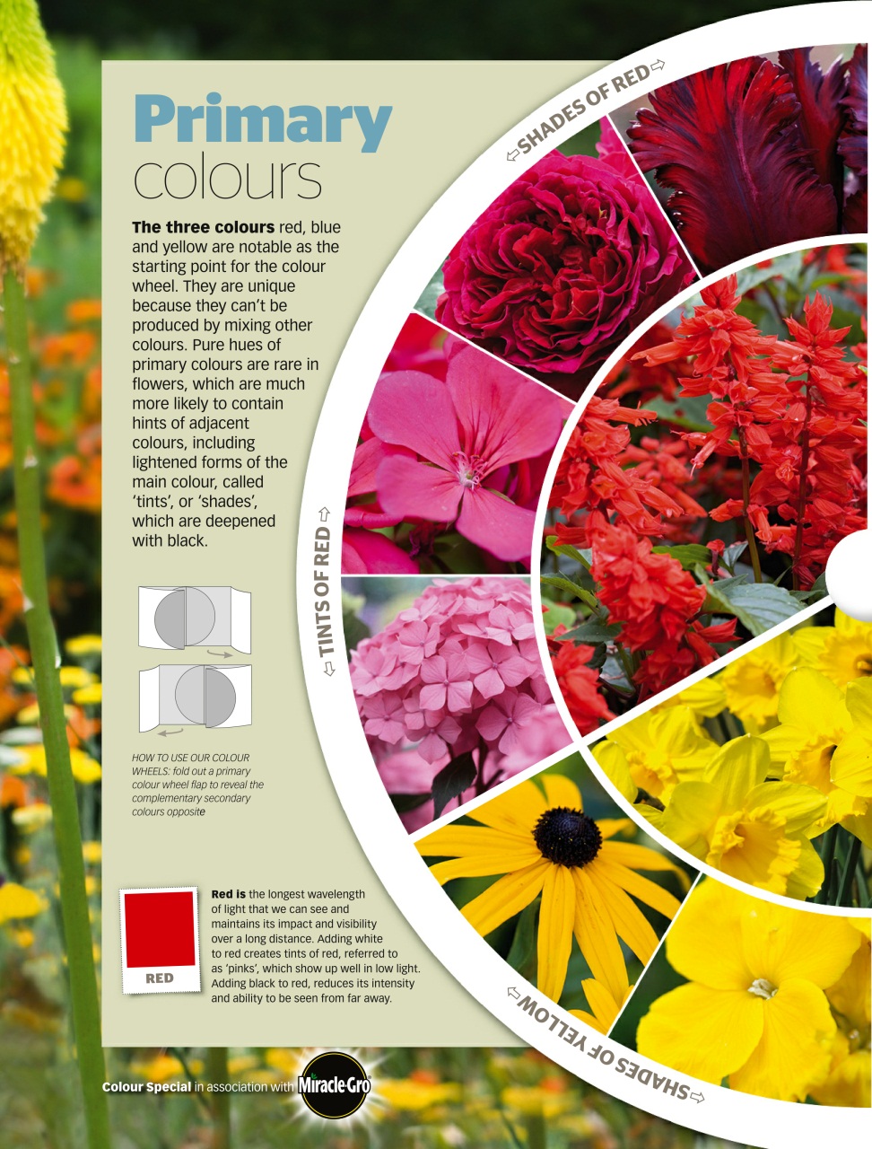 BBC Gardeners’ World Magazine Preview Pages