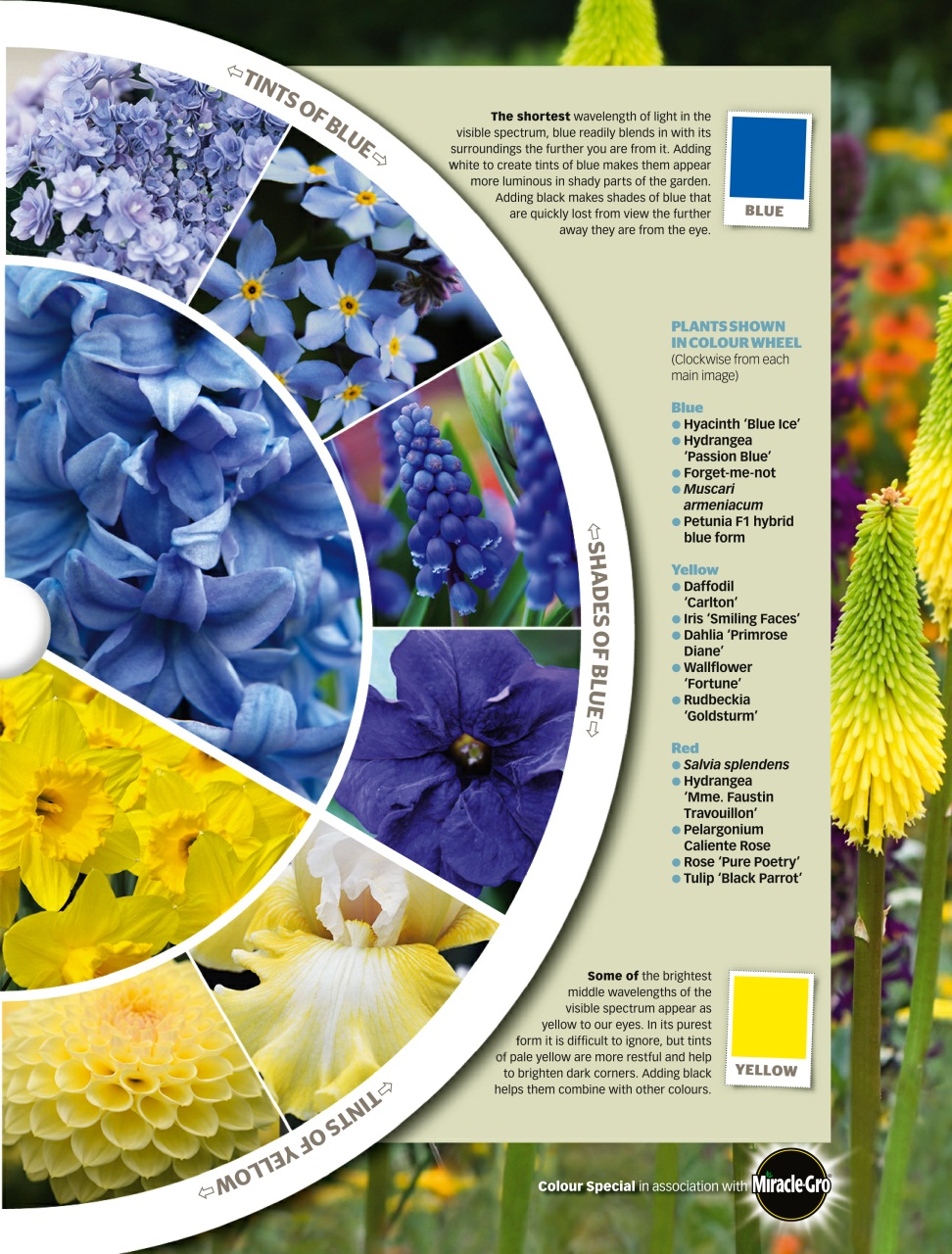 BBC Gardeners’ World Magazine Preview Pages