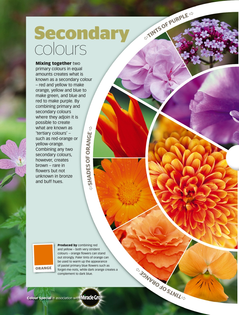 BBC Gardeners’ World Magazine Preview Pages