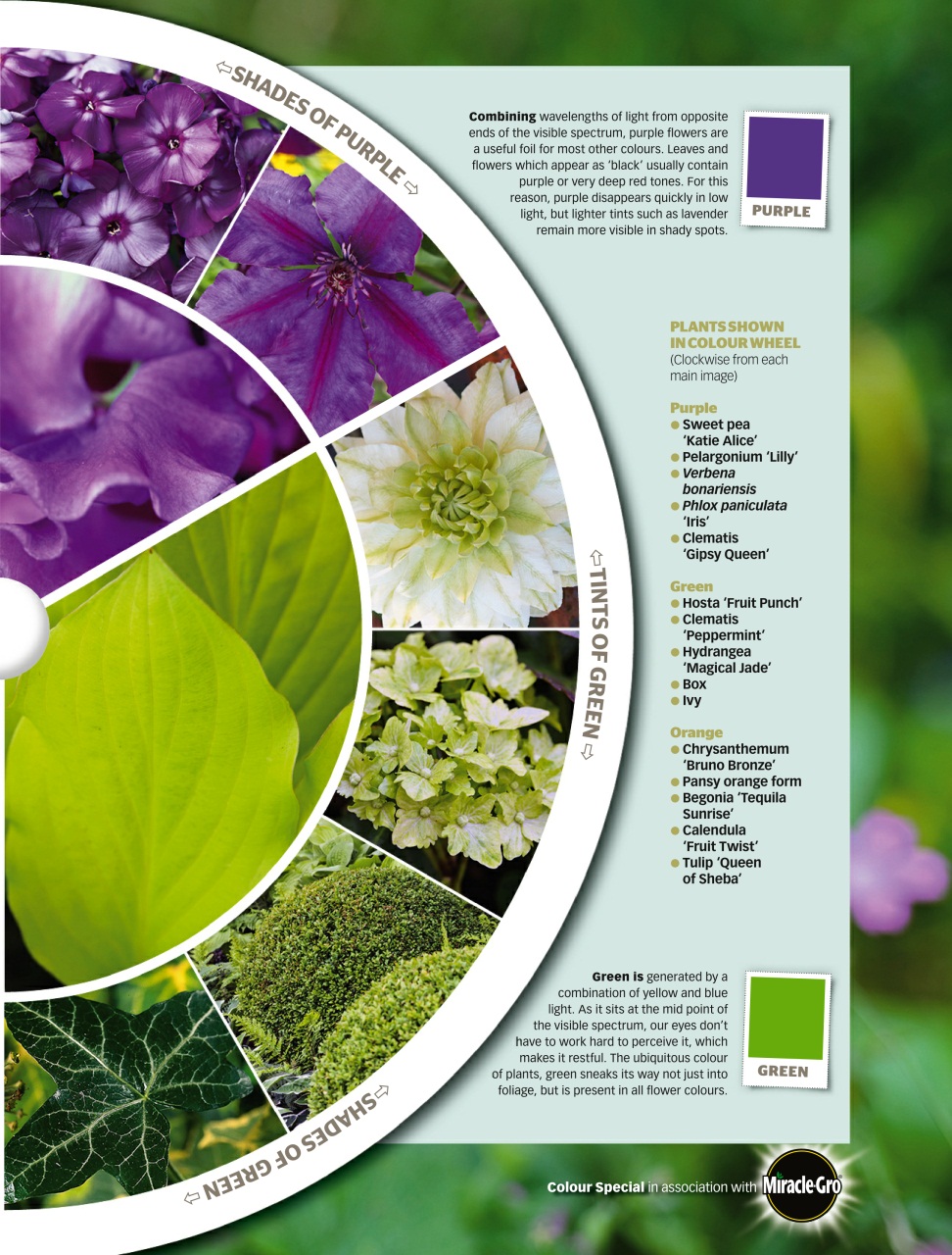 BBC Gardeners’ World Magazine Preview Pages