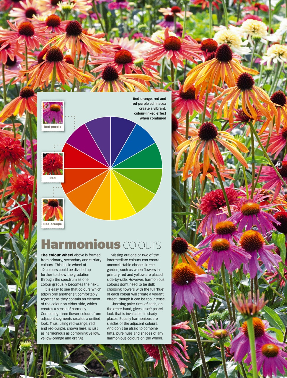 BBC Gardeners’ World Magazine Preview Pages