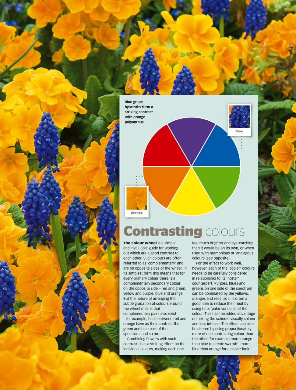 BBC Gardeners’ World Magazine Preview Pages
