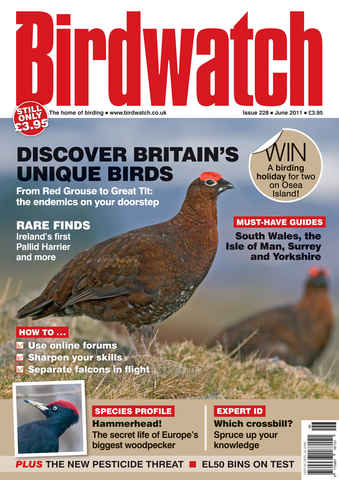 Birdwatch Magazine issue June 2011