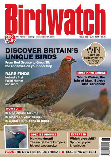 Birdwatch Magazine issue 