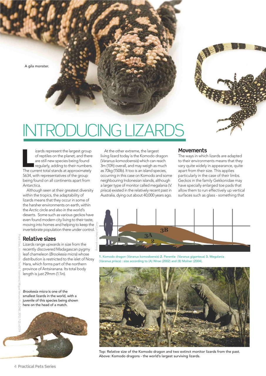 Practical Reptile Keeping Preview Pages
