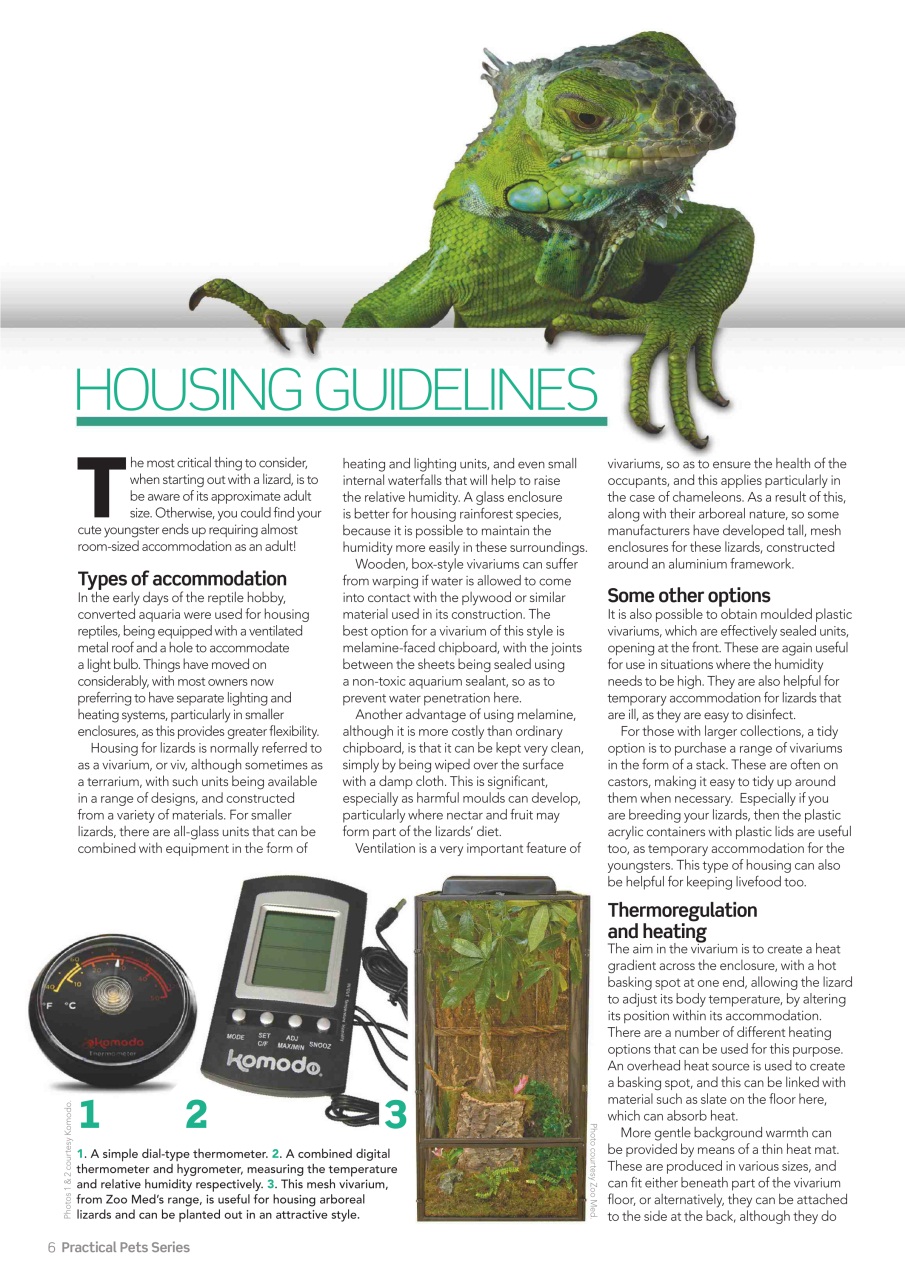 Practical Reptile Keeping Preview Pages