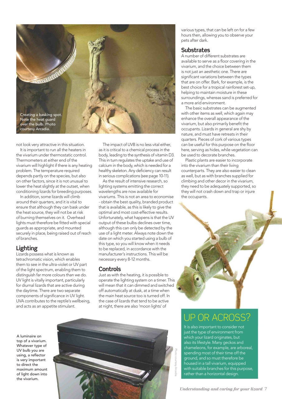 Practical Reptile Keeping Preview Pages