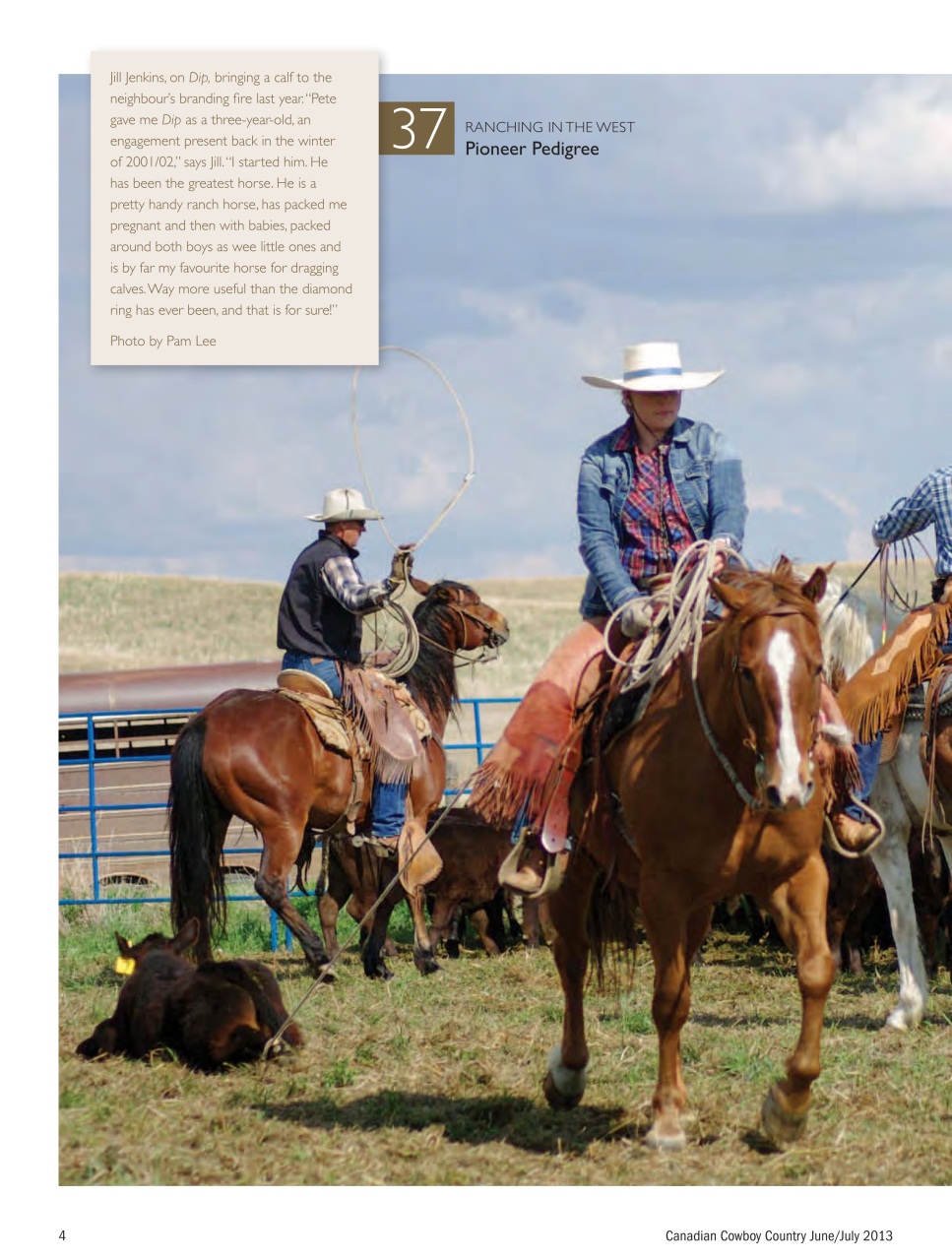 Canadian Cowboy Country Preview Pages