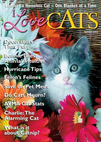 I Love Cats issue Summer 2013