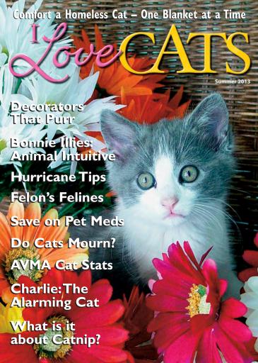 I Love Cats issue 