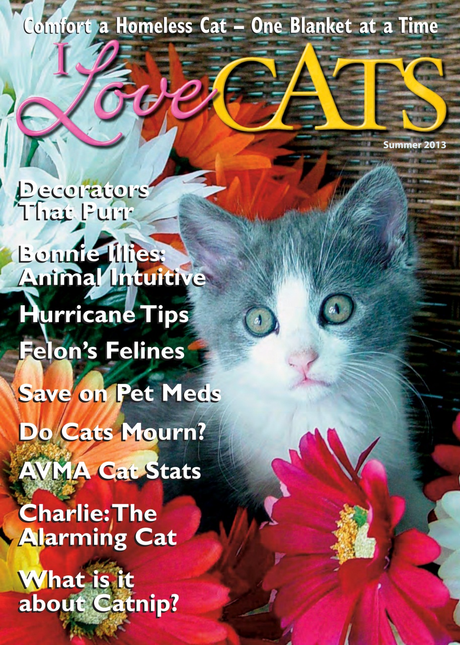 I Love Cats Preview Pages