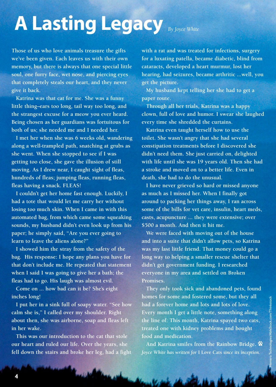 I Love Cats Preview Pages