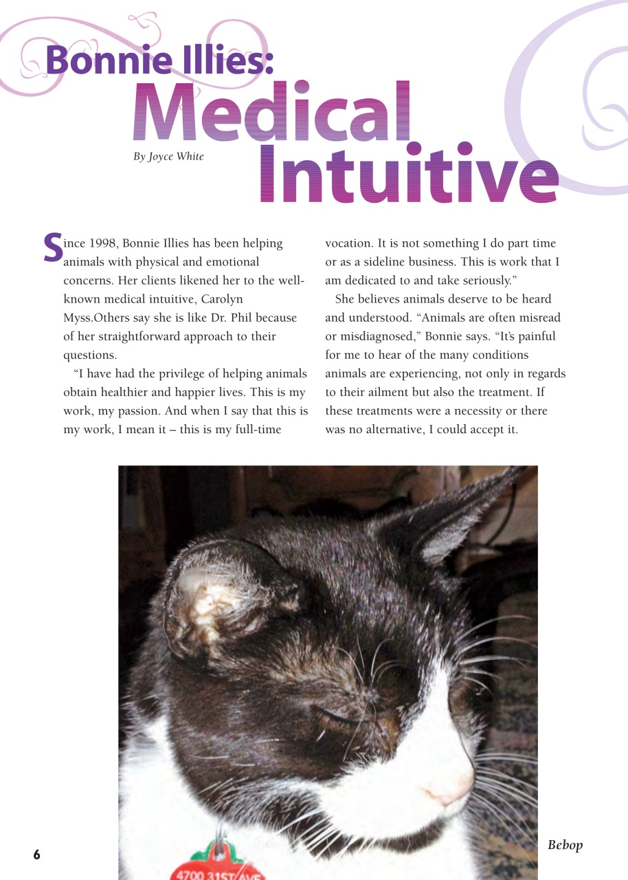 I Love Cats Preview Pages