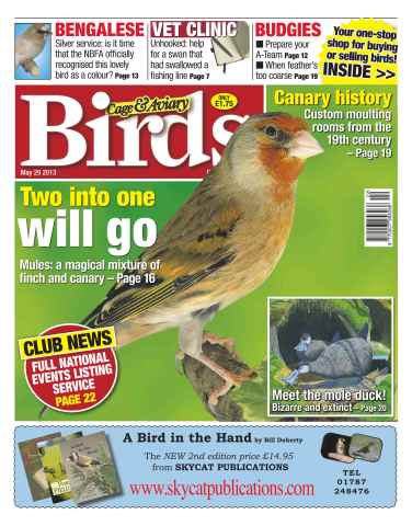 Cage & Aviary Birds issue Cage & Aviary 29 May 2013