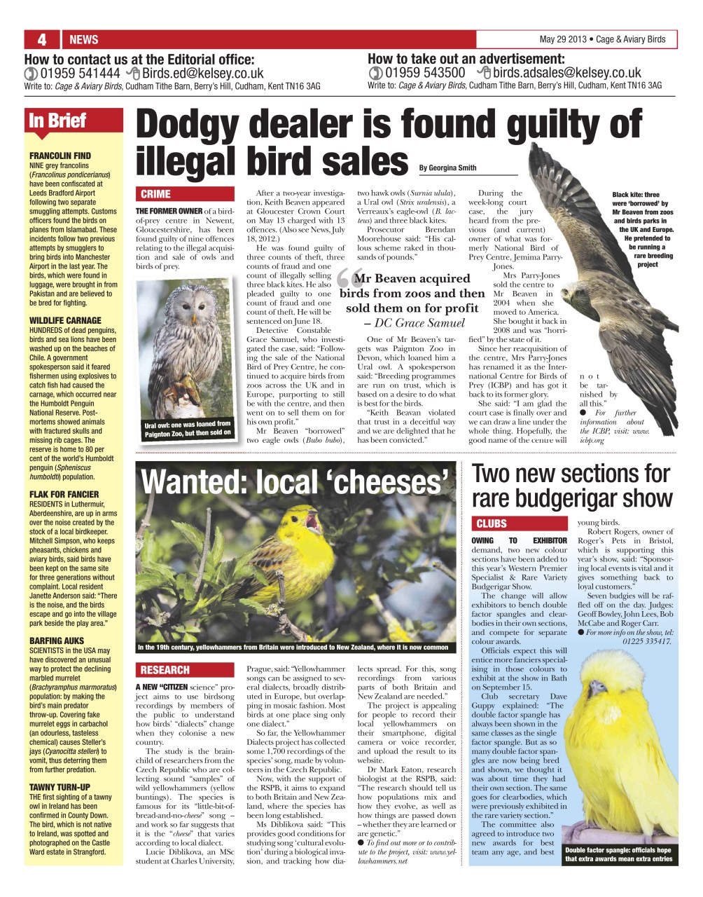 Cage & Aviary Birds Preview Pages