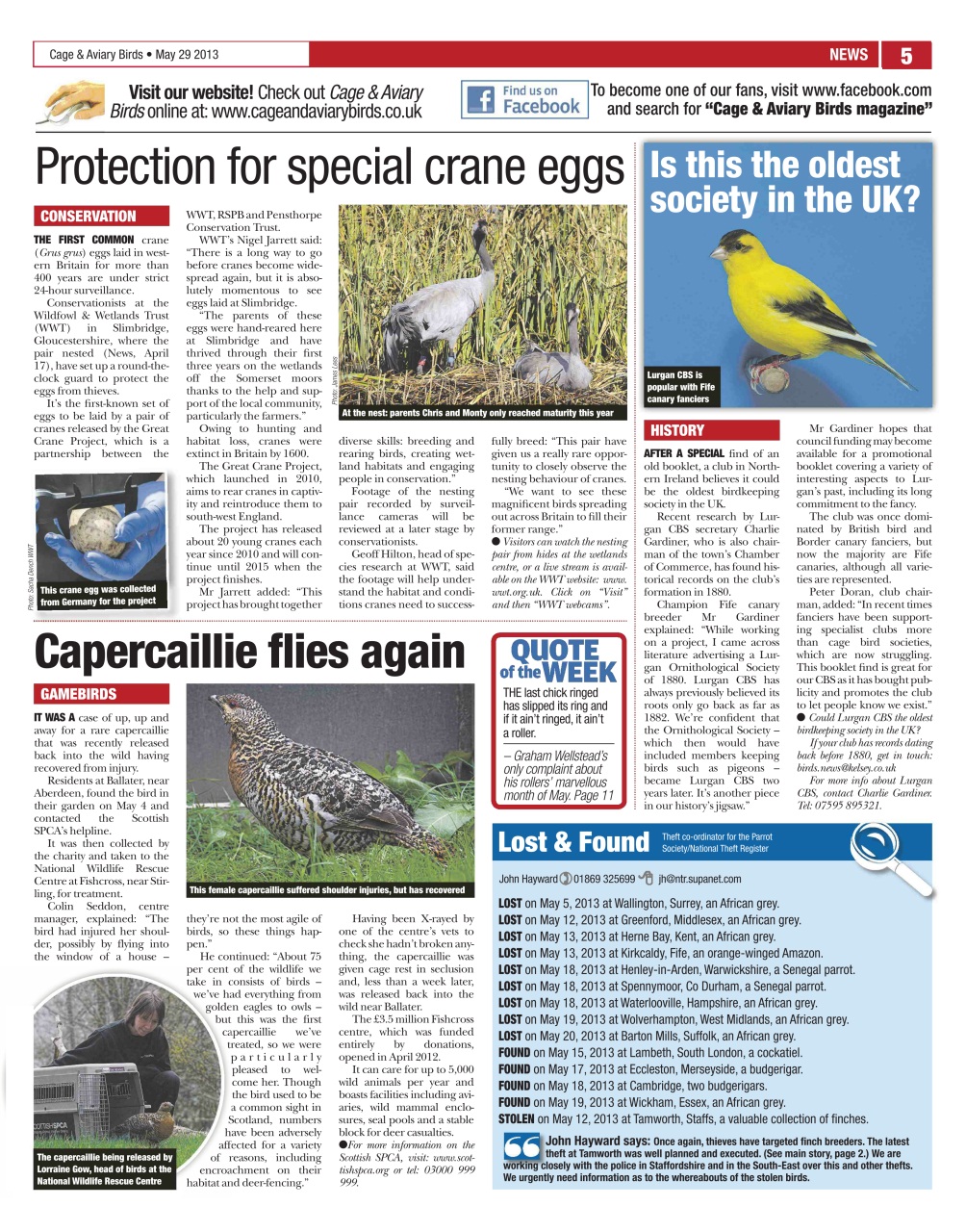 Cage & Aviary Birds Preview Pages