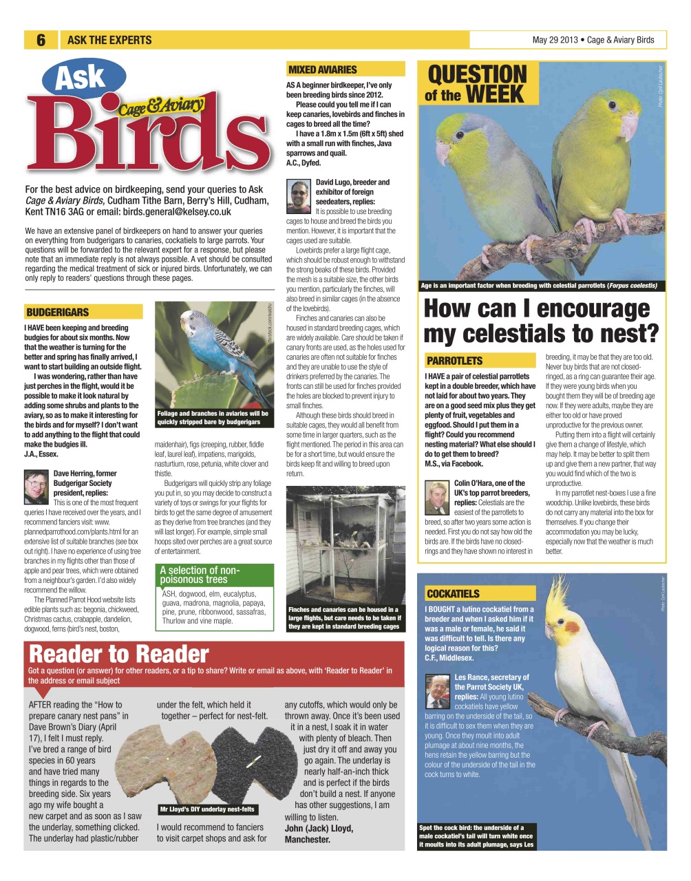 Cage & Aviary Birds Preview Pages