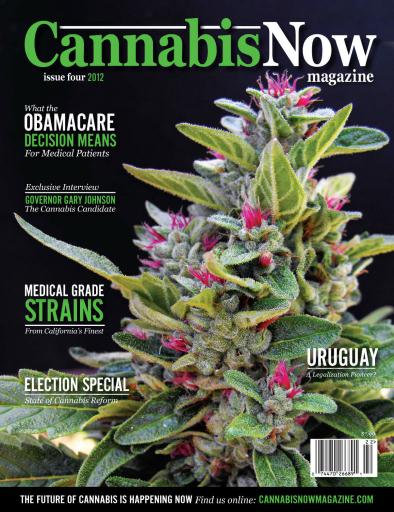 Cannabis Now issue 