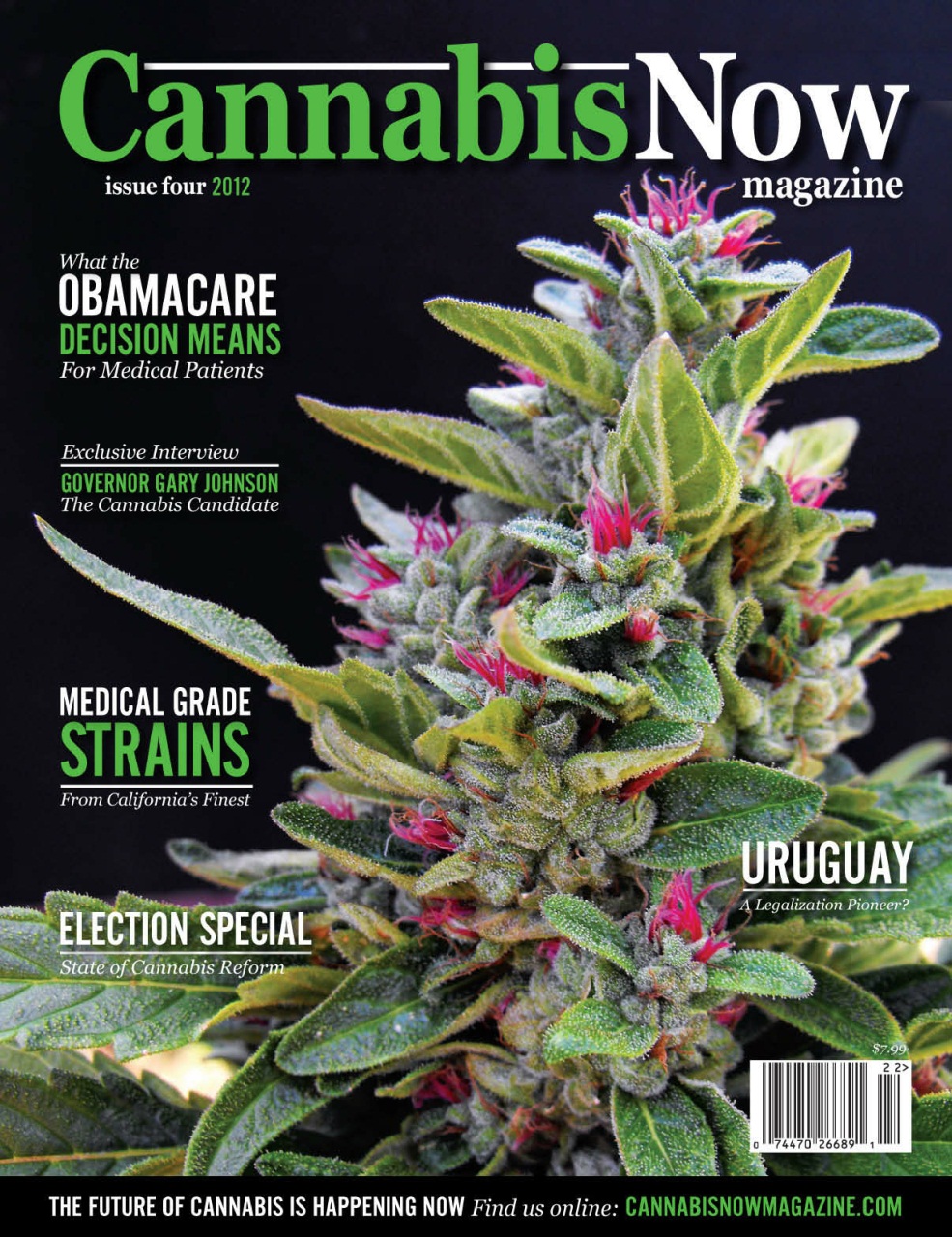 Cannabis Now Preview Pages