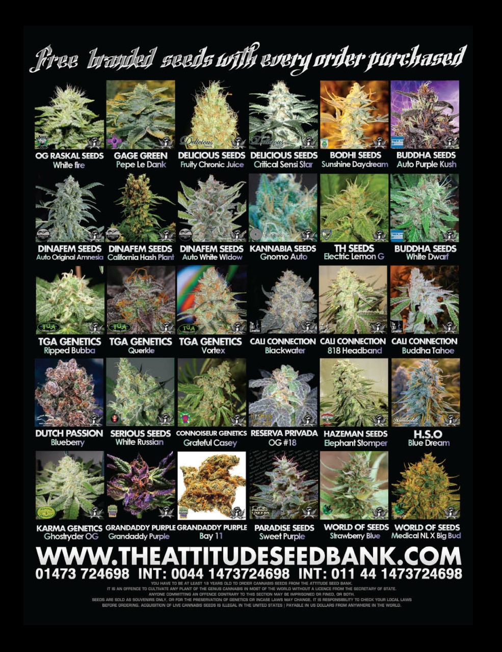 Cannabis Now Preview Pages