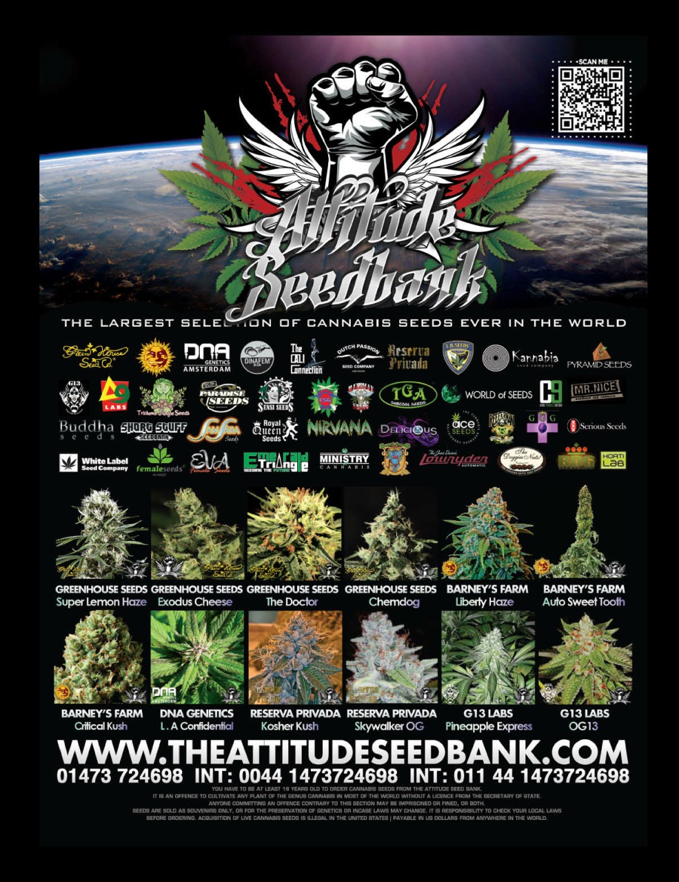 Cannabis Now Preview Pages