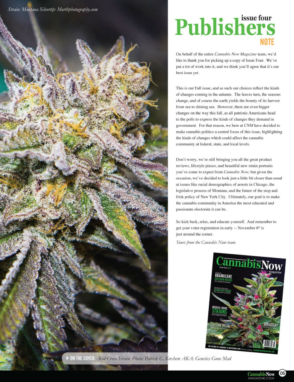 Cannabis Now Preview Pages