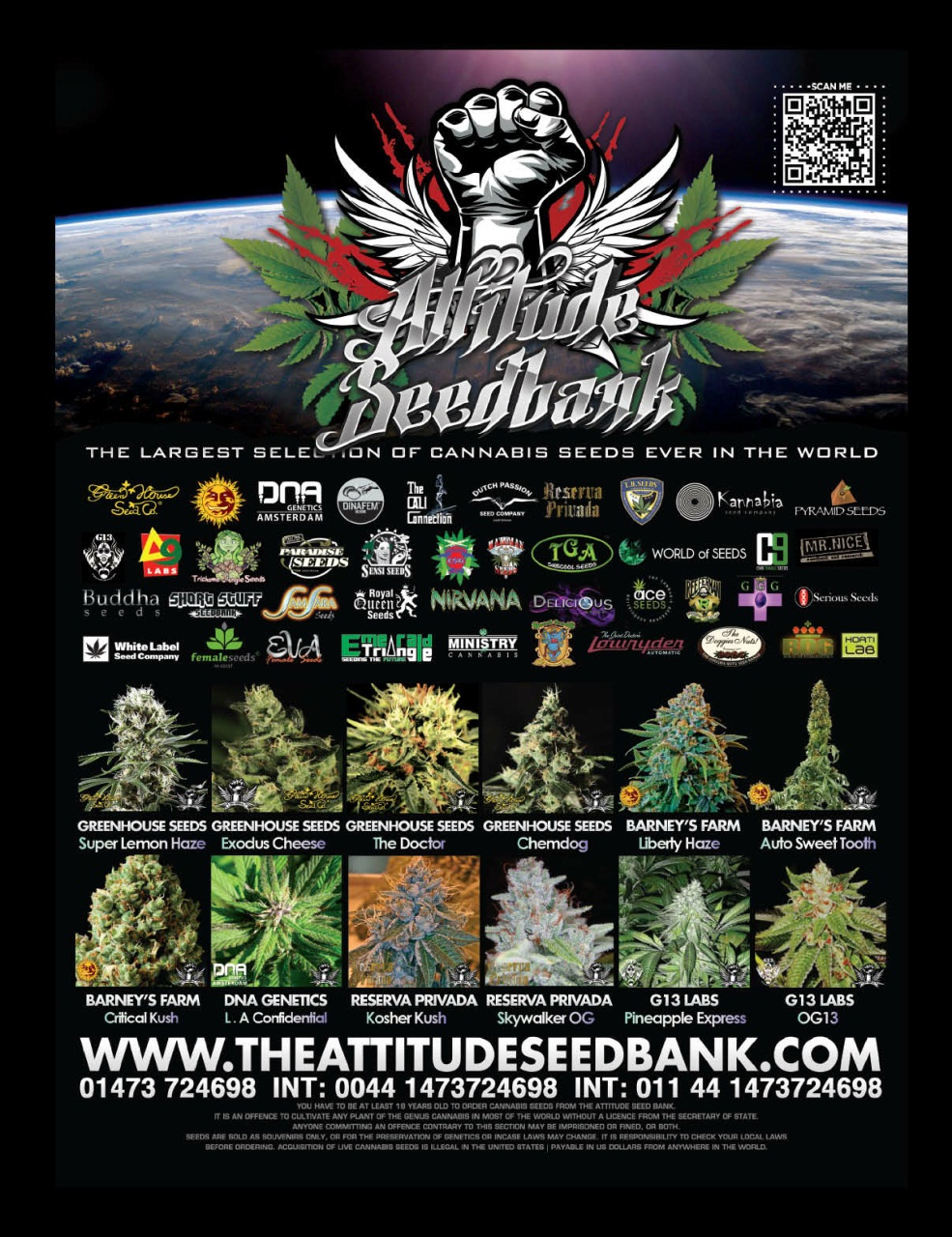 Cannabis Now Preview Pages