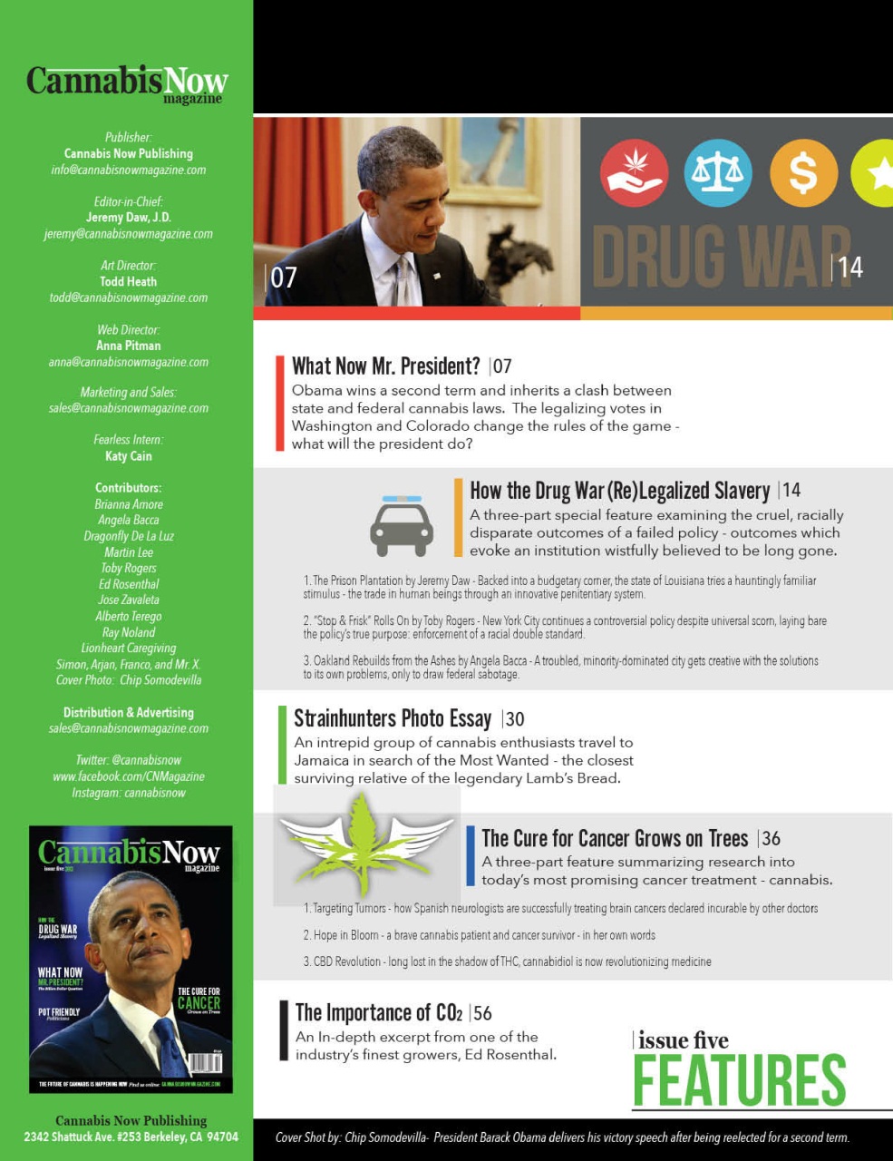 Cannabis Now Preview Pages