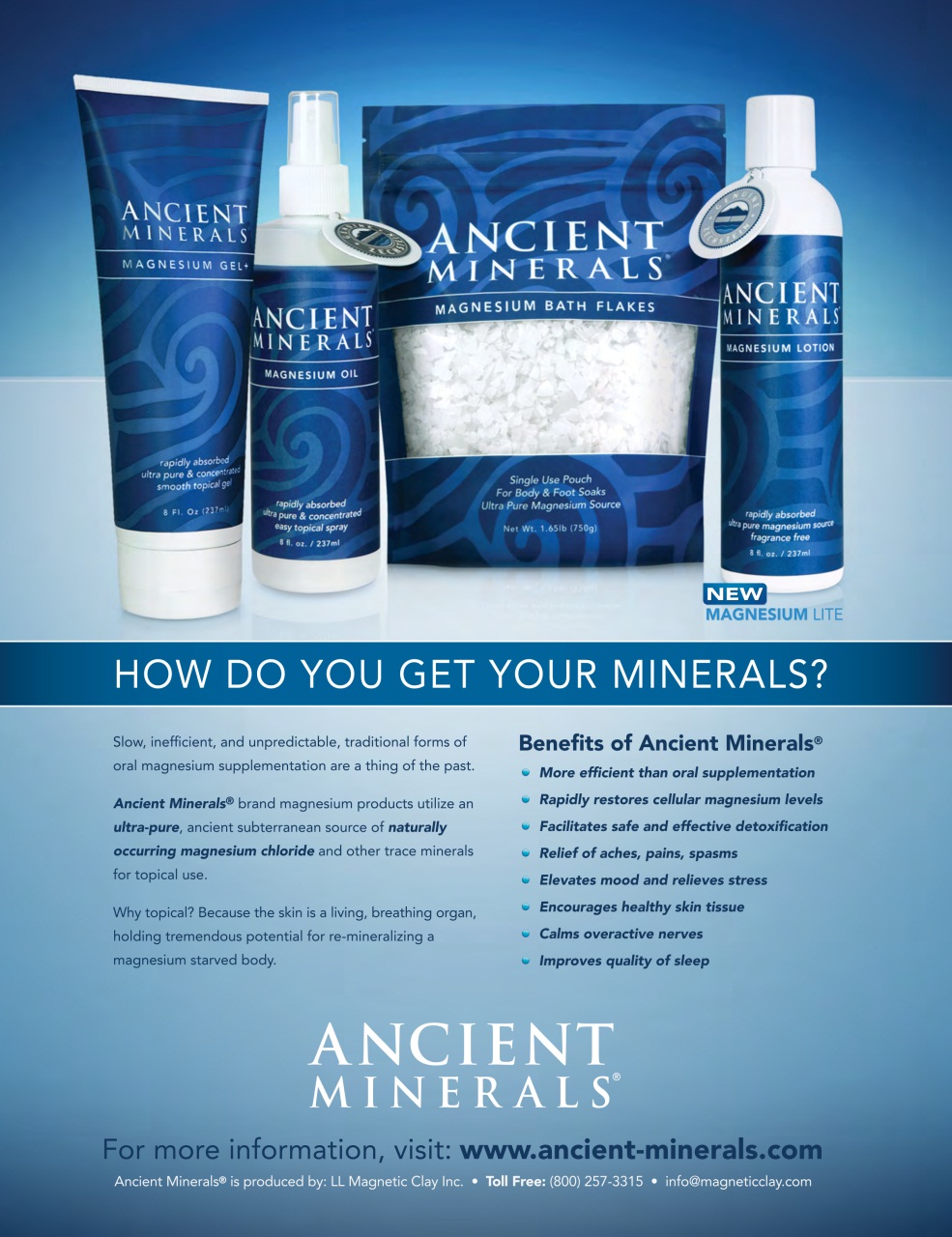 Well Being Journal Preview Pages