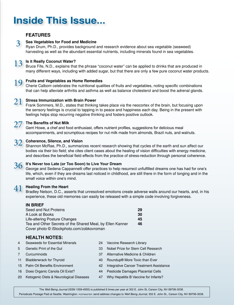 Well Being Journal Preview Pages