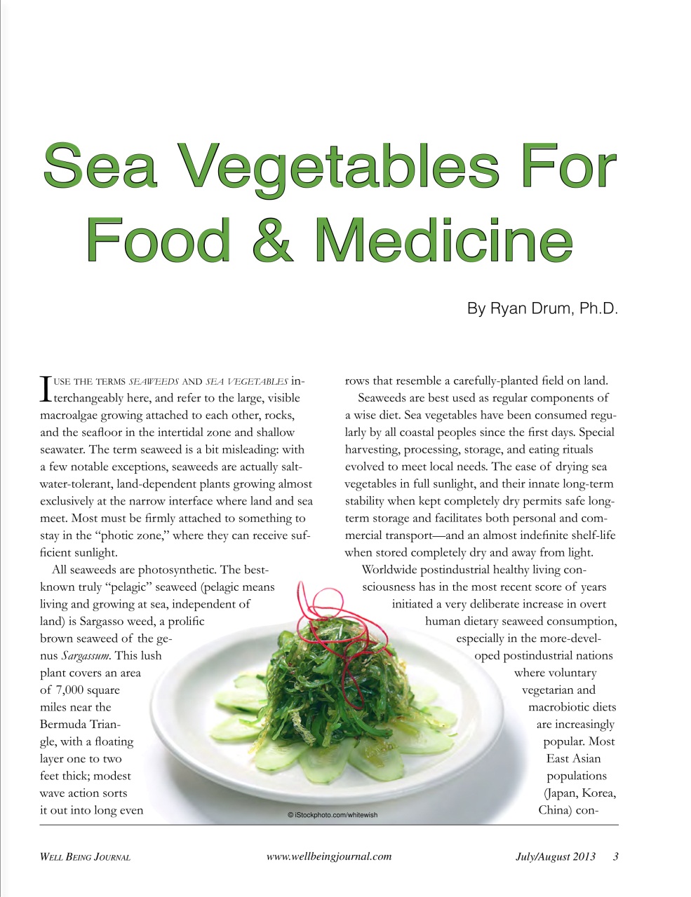 Well Being Journal Preview Pages