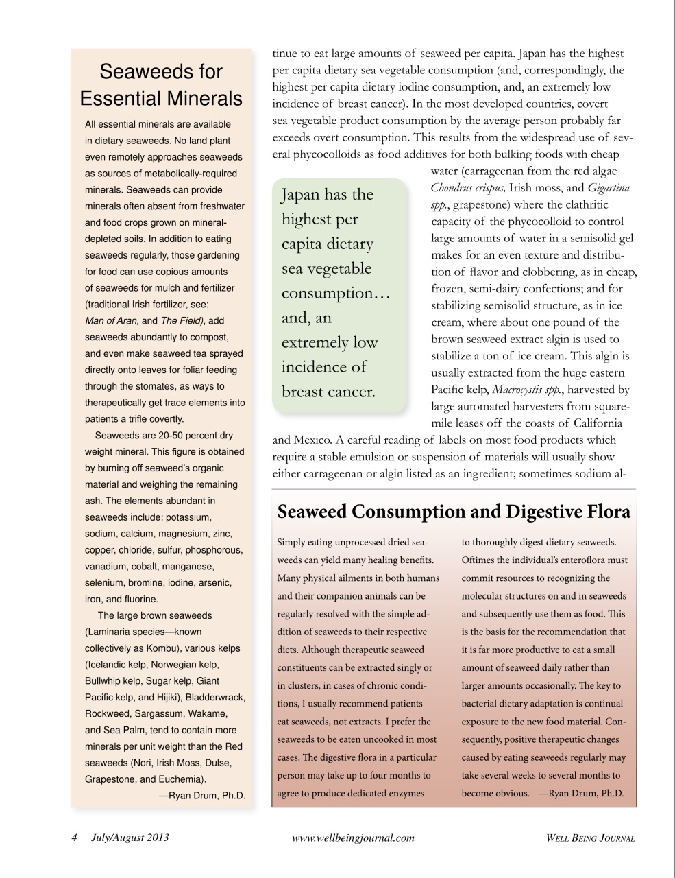 Well Being Journal Preview Pages