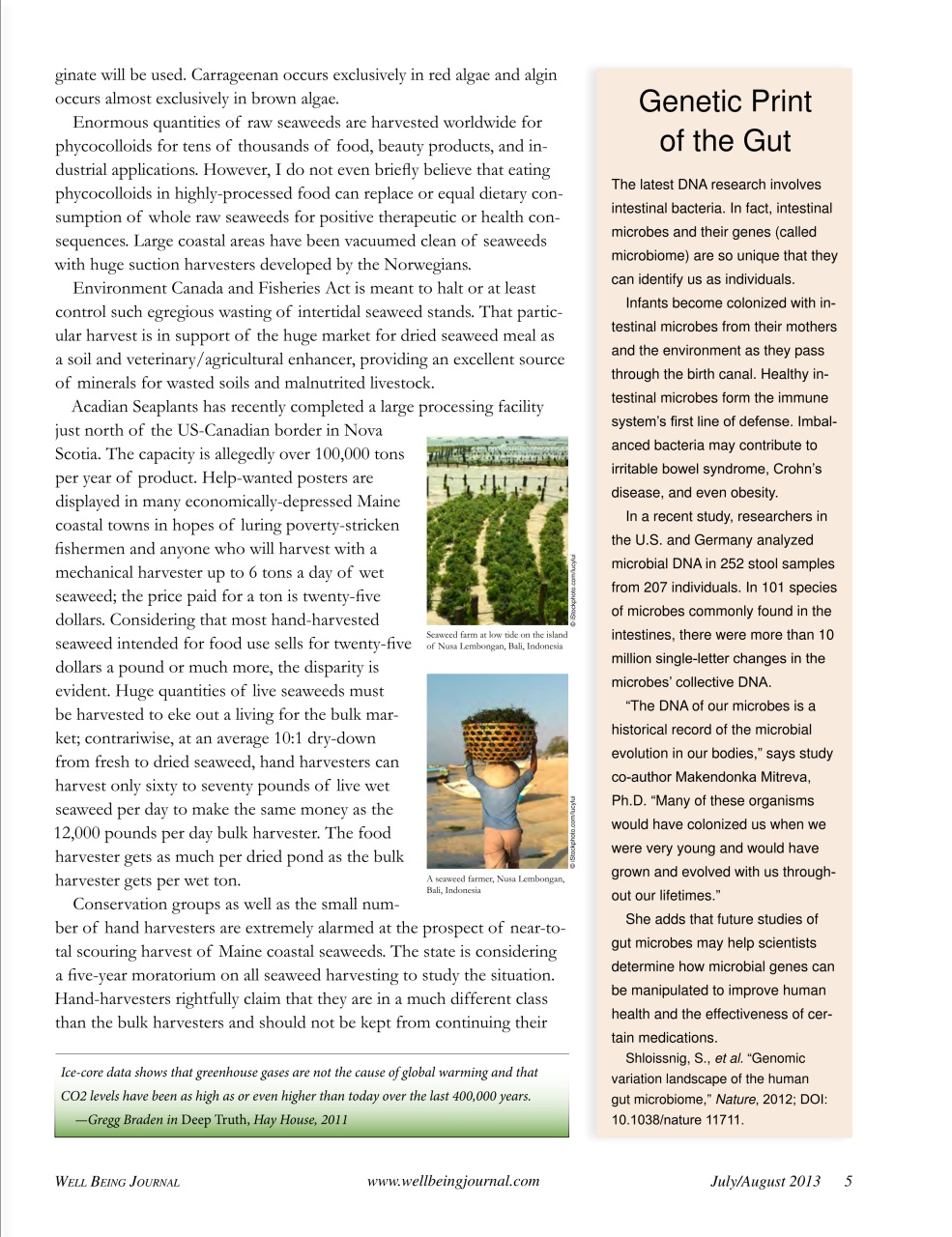 Well Being Journal Preview Pages